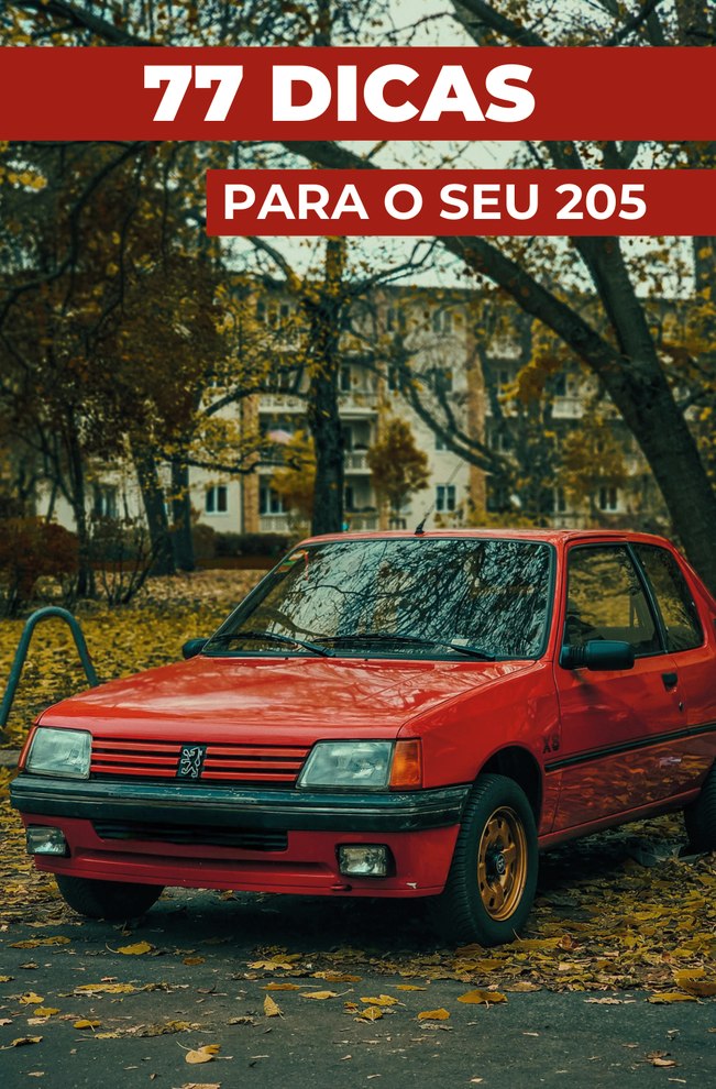 77 DICAS PARA O SEU 205