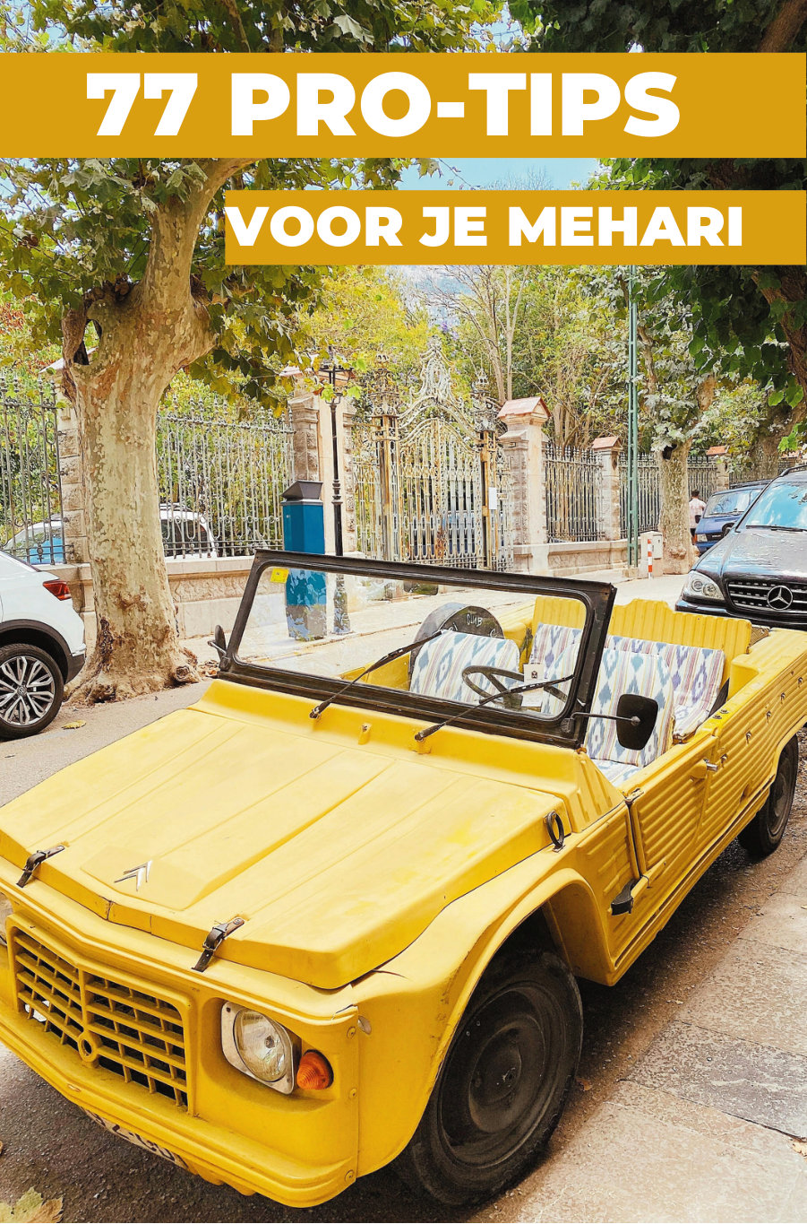 77 TIPS VOOR JE MÉHARI