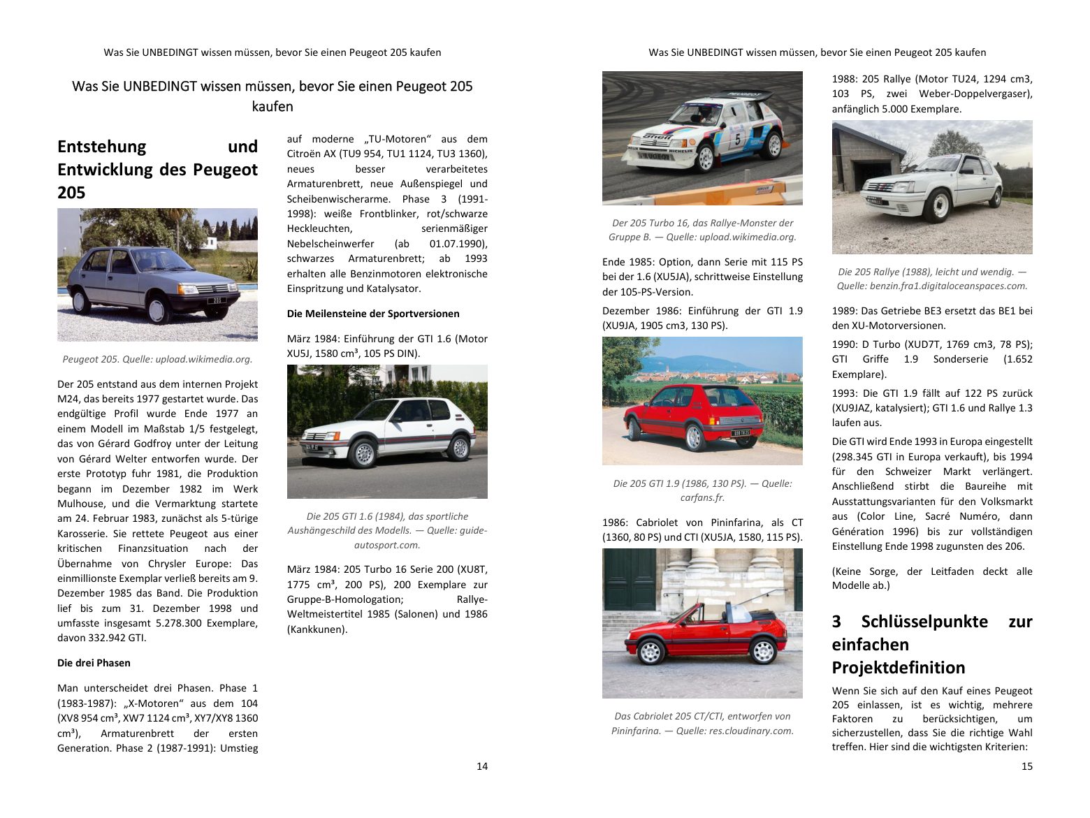 Vor dem Kauf: die Geschichte des Modells und die Versionen, die Schlüsselpunkte Ihres Projekts