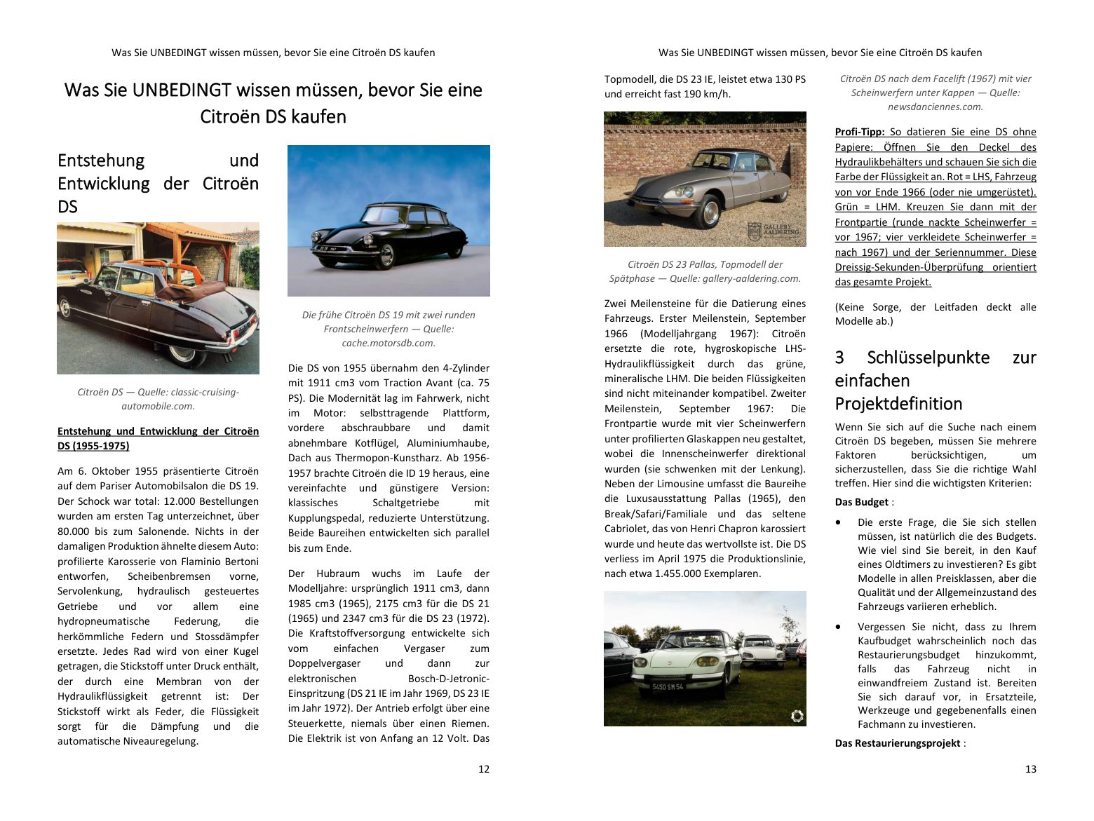 Vor dem Kauf: die Geschichte des Modells und die Versionen, die Schlüsselpunkte Ihres Projekts