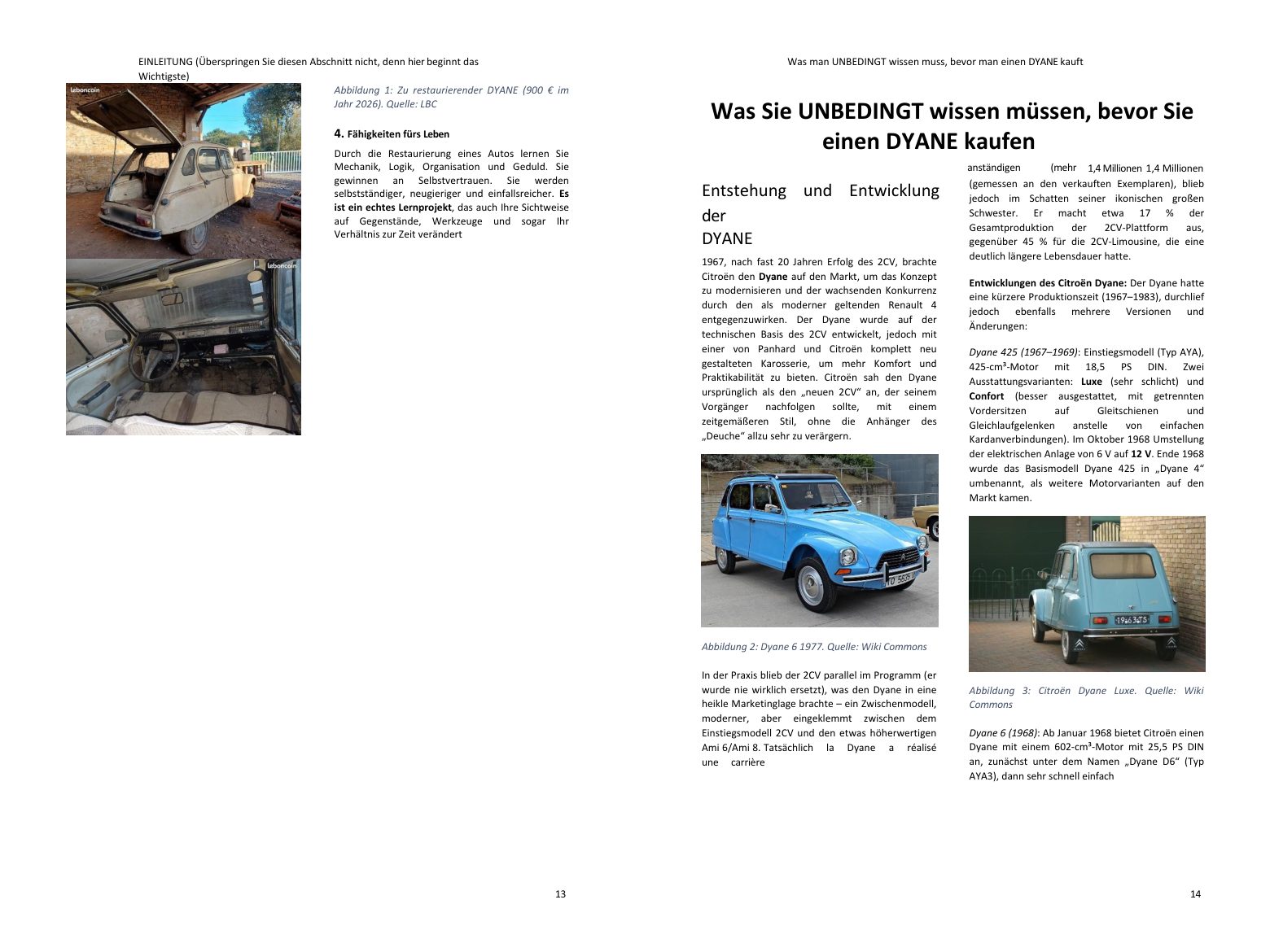 Vor dem Kauf: die Geschichte des Modells und die Versionen, die Schlüsselpunkte Ihres Projekts