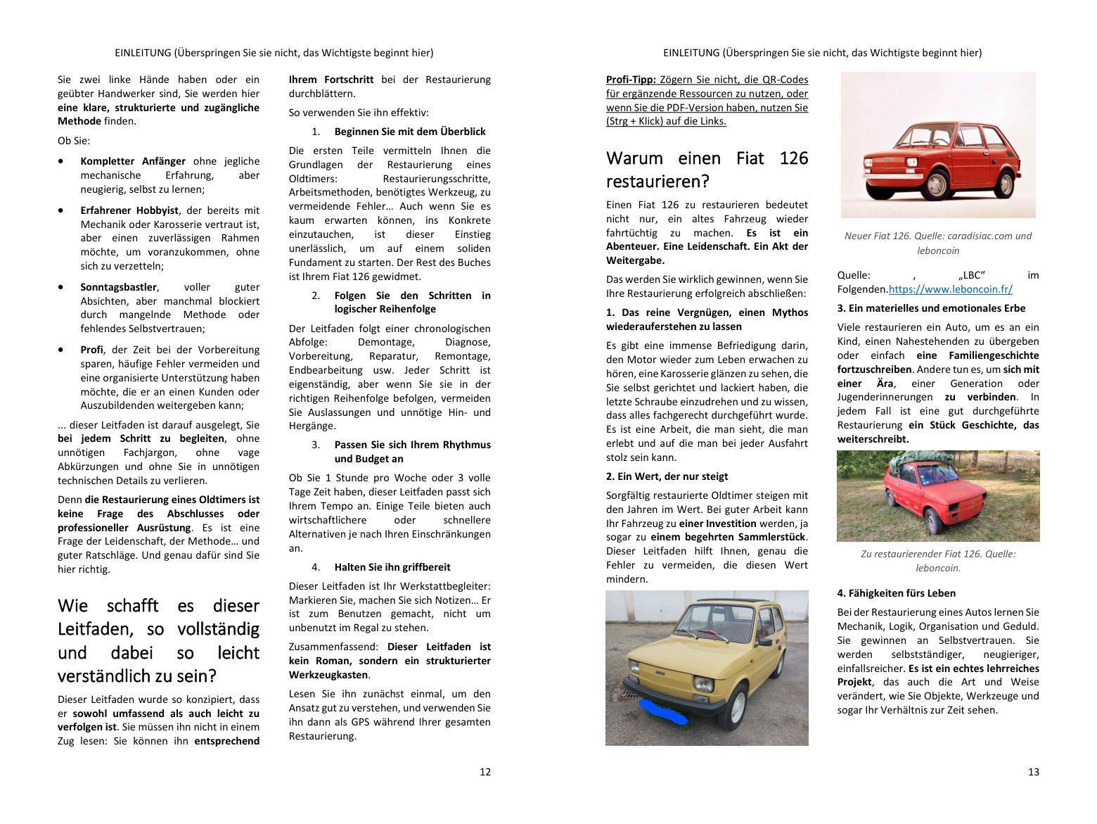 Vor dem Kauf: die Geschichte des Modells und die Versionen, die Schlüsselpunkte Ihres Projekts