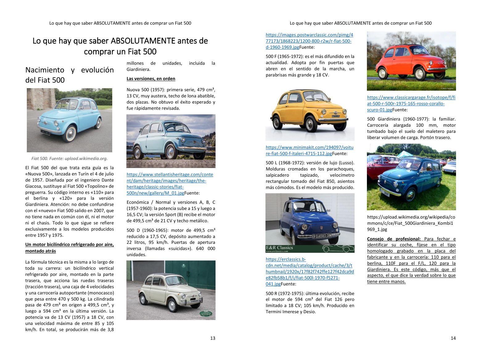 Antes de comprar: la historia del modelo y las versiones, los puntos clave de tu proyecto